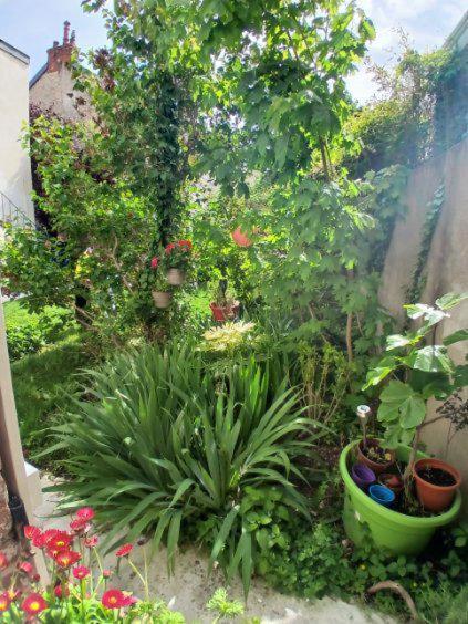 Appart Rez De Jardin Dijon Exteriör bild